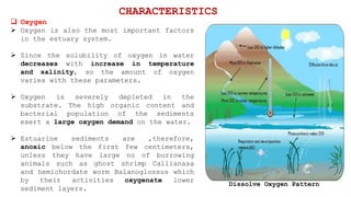  Oxygen is also the most important factors
in the estuary system.
 Since the solubility of oxygen in water
decreases with increase in temperature
and salinity, so the amount of oxygen
varies with these parameters.
 Oxygen is severely depleted in the
substrate. The high organic content and
bacterial population of the sediments
exert a large oxygen demand on the water.
 Estuarine sediments are ,therefore,
anoxic below the first few centimeters,
unless they have large no of burrowing
animals such as ghost shrimp Callianasa
and hemichordate worm Balanoglossus which
by their activities oxygenate lower
sediment layers.
 Oxygen
CHARACTERISTICS
Dissolve Oxygen Pattern
 