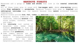 MANGROVE FORESTS
Mangroves are a group of trees and shrubs that live in the coastal intertidal
zone.
All of these trees grow in areas with low-oxygen soil, where slow-moving waters
allow fine sediments to accumulate. Mangrove forests only grow at tropical and
subtropical latitudes near the equator because they cannot withstand freezing
temperatures.
Mangrove forests provide food, fuel, timber and medicines either directly or indirectly.
 Mangrove forests stabilize the
coastline, reducing erosion from
storm surges, currents, waves,
and tides.
 The intricate root system of
mangroves also makes these
forests attractive to fish and
other organisms seeking food and
shelter from predators.
 Some common species are red
mangrove (Rhizophora mangle),
black mangrove(Avicennia
germinans) and the white
mangrove(Laguncularia racemosa).
 