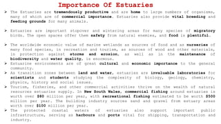  The Estuaries are tremendously productive and are home to large numbers of organisms,
many of which are of commercial importance. Estuaries also provide vital breeding and
feeding grounds for many animals.
 Estuaries are important stopover and wintering areas for many species of migratory
birds. The open spaces offer them safety from natural enemies, and food is plentiful.
 The worldwide economic value of marine wetlands as sources of food and as nurseries of
many food species, in recreation and tourism, as sources of wood and other materials,
in protection against storms and erosion, as well as in the maintenance of
biodiversity and water quality, is enormous.
 Estuarine environments are of great cultural and economic importance to the general
community.
 As transition zones between land and water, estuaries are invaluable laboratories for
scientists and students studying the complexity of biology, geology, chemistry,
physics, history and social issues.
 Tourism, fisheries, and other commercial activities thrive on the wealth of natural
resources estuaries supply. In New South Wales, commercial fishing around estuaries is
worth over $80 million per year, with recreational fishing estimated to be worth $500
million per year. The building industry sources sand and gravel from estuary areas
worth over $100 million per year.
 The protected coastal waters of estuaries also support important public
infrastructure, serving as harbours and ports vital for shipping, transportation and
industry.
Importance Of Estuaries
 