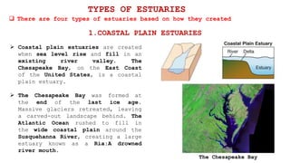  Coastal plain estuaries are created
when sea level rise and fill in an
existing river valley. The
Chesapeake Bay, on the East Coast
of the United States, is a coastal
plain estuary.
 The Chesapeake Bay was formed at
the end of the last ice age.
Massive glaciers retreated, leaving
a carved-out landscape behind. The
Atlantic Ocean rushed to fill in
the wide coastal plain around the
Susquehanna River, creating a large
estuary known as a Ria:A drowned
river mouth.
 There are four types of estuaries based on how they created
TYPES OF ESTUARIES
1.COASTAL PLAIN ESTUARIES
The Chesapeake Bay
 