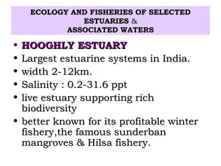 ECOLOGY AND FISHERIES OF SELECTED
              ESTUARIES &
           ASSOCIATED WATERS

• HOOGHLY ESTUARY
• Largest estuarine systems in India.
• width 2-12km.
• Salinity : 0.2-31.6 ppt
• live estuary supporting rich
  biodiversity
• better known for its profitable winter
  fishery,the famous sunderban
  mangroves & Hilsa fishery.
 