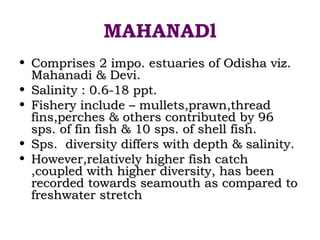 MAHANADl
• Comprises 2 impo. estuaries of Odisha viz.
  Mahanadi & Devi.
• Salinity : 0.6-18 ppt.
• Fishery include – mullets,prawn,thread
  fins,perches & others contributed by 96
  sps. of fin fish & 10 sps. of shell fish.
• Sps. diversity differs with depth & salinity.
• However,relatively higher fish catch
  ,coupled with higher diversity, has been
  recorded towards seamouth as compared to
  freshwater stretch
 