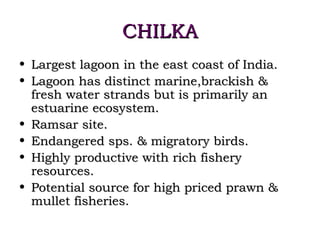 CHILKA
• Largest lagoon in the east coast of India.
• Lagoon has distinct marine,brackish &
  fresh water strands but is primarily an
  estuarine ecosystem.
• Ramsar site.
• Endangered sps. & migratory birds.
• Highly productive with rich fishery
  resources.
• Potential source for high priced prawn &
  mullet fisheries.
 