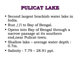 PULICAT LAKE
• Second largest brackish water lake in
  India.
• Run //l to Bay of Bengal.
• Opens into Bay of Bengal through a
  narrow passage at its southern
  end,near Pulicat town.
• Shallow lake – average water depth :
  0.7m.
• Salinity : 7.79 – 28.91 ppt.
 