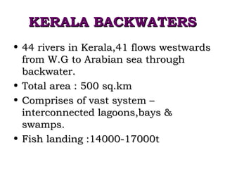 KERALA BACKWATERS
• 44 rivers in Kerala,41 flows westwards
  from W.G to Arabian sea through
  backwater.
• Total area : 500 sq.km
• Comprises of vast system –
  interconnected lagoons,bays &
  swamps.
• Fish landing :14000-17000t
 