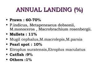 ANNUAL LANDING (%)
• Prawn : 60-70%
• P.indicus, Metapeneaeus dobsonii,
  M.monoceros , Macrobrachium rosenbergii.
• Mullets : 11%
• Mugil cephalus,M.macrolepis,M.parsia
• Pearl spot : 10%
• Etroplus suratensis,Etroplus maculatus
• Catfish :9%
• Others :1%
 