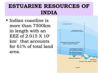 ESTUARINE RESOURCES OF
          INDIA
• Indian coastline is
  more than 7500km
  in length with an
  EEZ of 2.015 X 106
  km2 that accounts
  for 61% of total land
  area.
 