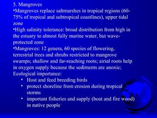 5. Mangroves
•Mangroves replace saltmarshes in tropical regions (60-
75% of tropical and subtropical coastlines), upper tidal
zone
•High salinity tolerance: broad distribution from high in
the estuary to almost fully marine water, but wave-
protected zone
•Mangroves: 12 genera, 60 species of flowering,
terrestrial trees and shrubs restricted to mangrove
swamps; shallow and far-reaching roots; airial roots help
in oxygen supply because the sediments are anoxic;
Ecological importance:
• Host and feed breeding birds
• protect shoreline from erosion during tropical
storms
• important fisheries and supply (boat and fire wood)
in native people
 