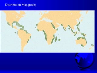 Distribution Mangroves
 