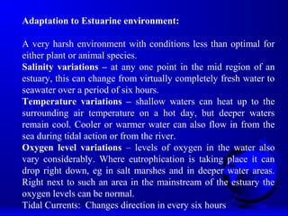 Adaptation to Estuarine environment:
A very harsh environment with conditions less than optimal for
either plant or animal species.
Salinity variations – at any one point in the mid region of an
estuary, this can change from virtually completely fresh water to
seawater over a period of six hours.
Temperature variations – shallow waters can heat up to the
surrounding air temperature on a hot day, but deeper waters
remain cool. Cooler or warmer water can also flow in from the
sea during tidal action or from the river.
Oxygen level variations – levels of oxygen in the water also
vary considerably. Where eutrophication is taking place it can
drop right down, eg in salt marshes and in deeper water areas.
Right next to such an area in the mainstream of the estuary the
oxygen levels can be normal.
Tidal Currents: Changes direction in every six hours
 
