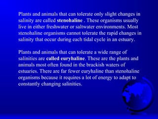 Plants and animals that can tolerate only slight changes in
salinity are called stenohaline . These organisms usually
live in either freshwater or saltwater environments. Most
stenohaline organisms cannot tolerate the rapid changes in
salinity that occur during each tidal cycle in an estuary.
Plants and animals that can tolerate a wide range of
salinities are called euryhaline. These are the plants and
animals most often found in the brackish waters of
estuaries. There are far fewer euryhaline than stenohaline
organisms because it requires a lot of energy to adapt to
constantly changing salinities.
 