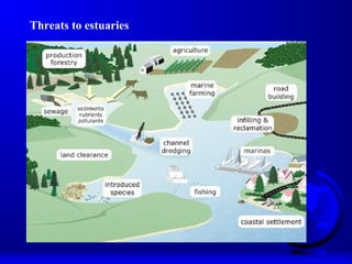 Threats to estuaries
 