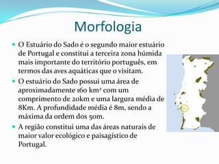 Morfologia
 O Estuário do Sado é o segundo maior estuário
de Portugal e constitui a terceira zona húmida
mais importante do território português, em
termos das aves aquáticas que o visitam.
 O estuário do Sado possui uma área de
aproximadamente 160 km2 com um
comprimento de 20km e uma largura média de
8Km. A profundidade média é 8m, sendo a
máxima da ordem dos 50m.
 A região constitui uma das áreas naturais de
maior valor ecológico e paisagístico de
Portugal.
 
