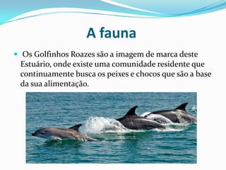 A fauna
 Os Golfinhos Roazes são a imagem de marca deste
Estuário, onde existe uma comunidade residente que
continuamente busca os peixes e chocos que são a base
da sua alimentação.
 