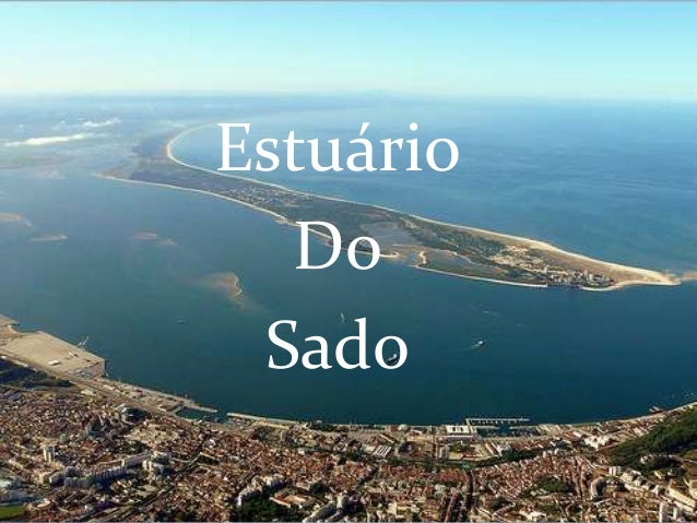 estuario-do-sado-1-638.jpg