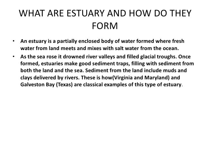 estuary how do estuaries form