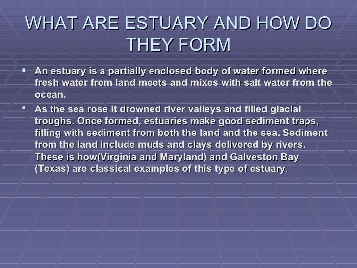 estuary how do estuaries form