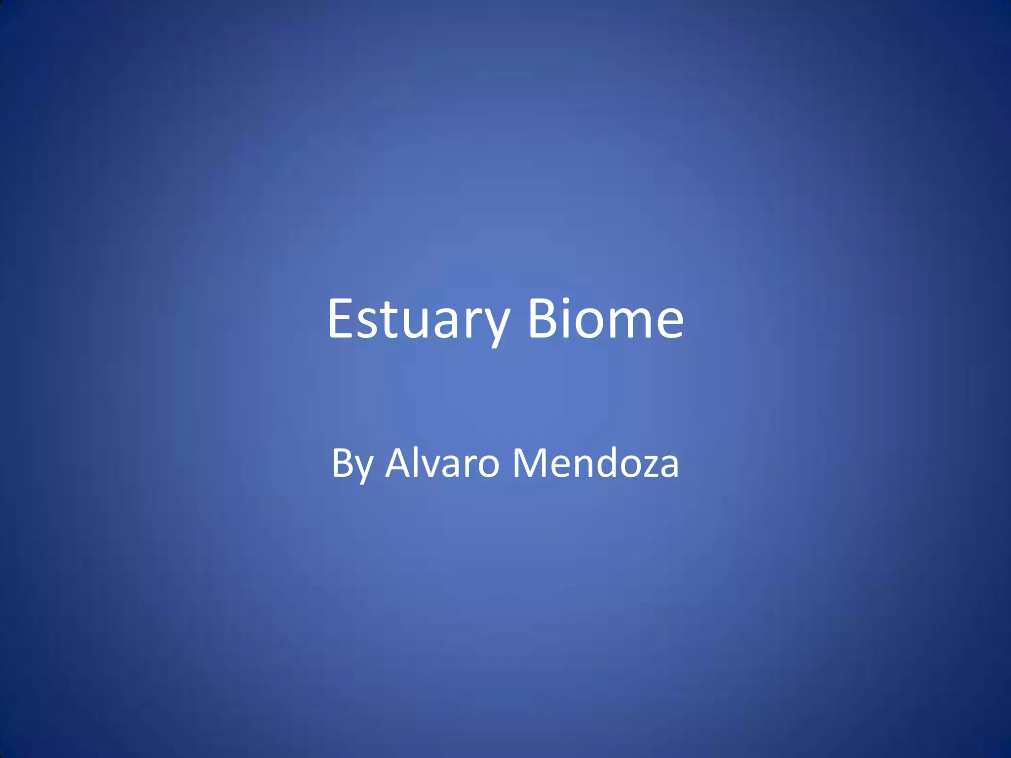 Elly Clutch'S Biome Bonanza: A Sensation! - 16h5zf9