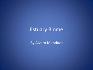 Estuary Biome
By Alvaro Mendoza
 