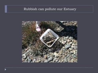 Rubbish can pollute our Estuary
 