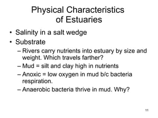 Physical Characteristics  of Estuaries Salinity in a salt wedge Substrate Rivers carry nutrients into estuary by size and weight. Which travels farther? Mud = silt and clay high in nutrients Anoxic = low oxygen in mud b/c bacteria respiration. Anaerobic bacteria thrive in mud. Why? 
