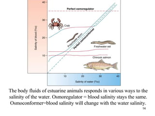 The body fluids of estuarine animals responds in various ways to the salinity of the water. Osmoregulator = blood salinity stays the same. Osmoconformer=blood salinity will change with the water salinity. 