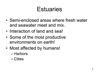 Estuaries Semi-enclosed areas where fresh water and seawater meet and mix. Interaction of land and sea! Some of the most productive environments on earth! Most affected by humans! Harbors Cities 