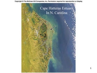 Cape Hatteras Estuary In N. Carolina 