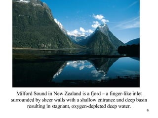 Milford Sound in New Zealand is a fjord – a finger-like inlet surrounded by sheer walls with a shallow entrance and deep basin resulting in stagnant, oxygen-depleted deep water. 