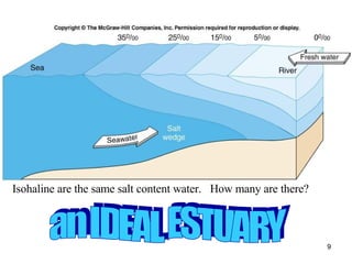 an IDEAL ESTUARY Isohaline are the same salt content water.  How many are there? 