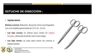 Punta Romo estuche de diseccion.pptxxxxxxxxxxxxxxxxx | PPTX