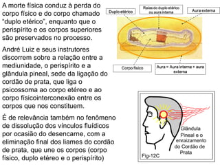 130
A morte física conduz à perda do
corpo físico e do corpo chamado
“duplo etérico”, enquanto que o
perispírito e os corpos superiores
são preservados no processo.
André Luiz e seus instrutores
discorrem sobre a relação entre a
mediunidade, o perispírito e a
glândula pineal, sede da ligação do
cordão de prata, que liga o
psicossoma ao corpo etéreo e ao
corpo físicointerconexão entre os
corpos que nos constituem.
É de relevância também no fenômeno
de dissolução dos vínculos fluídicos
por ocasião do desencarne, com a
eliminação final dos liames do cordão
de prata, que une os corpos (corpo
físico, duplo etéreo e o perispírito)
 
