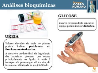 Valores elevados deste açúcar no
sangue podem indicar diabetes.
GLICOSEGLICOSE
Valores elevados de ureia no plasma
podem indicar problemas no
funcionamento dos rins.
A ureia é o produto final da degradação
das proteínas, processo que ocorre
principalmente no fígado. A ureia é
transportada pelo sangue até aos rins, de
forma a ser eliminada na sua totalidade.
UREIAUREIA
Análises bioquímicas
 