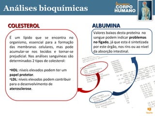 Valores baixos desta proteína no
sangue podem indicar problemas
no fígado, já que esta é sintetizada
por este órgão, nos rins ou ao nível
da absorção intestinal.
ALBUMINAALBUMINA
É um lípido que se encontra no
organismo, essencial para a formação
das membranas celulares, mas pode
acumular-se nos tecidos e tornar-se
prejudicial. Nas análises sanguíneas são
determinados 2 tipos de colesterol:
•HDL: níveis elevados podem ter um
papel protetor.
•LDL: níveis elevados podem contribuir
para o desenvolvimento de
aterosclerose.
COLESTEROLCOLESTEROL
Análises bioquímicas
 