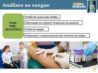 Pedido do exame pelo médico
FASE
PRÉ-
ANALÍTICA
Informação (ex: jejum)/ Preparação do paciente
Coleta de sangue
Preparação e armazenamento das amostras de sangue
Análises ao sangue
 