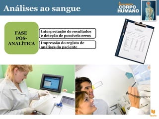 Interpretação de resultados
e deteção de possíveis erros
Impressão do registo de
análises do paciente
FASE
PÓS-
ANALÍTICA
Análises ao sangue
 