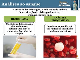 HEMOGRAMA
Numa análise ao sangue, o médico pode pedir a
determinação de vários parâmetros.
Os mais comuns são:
ANÁLISES
BIOQUÍMICAS
Consiste na determinação
dos parâmetros
relacionados com os
elementos figurados do
sangue.
Consiste na quantificação
das moléculas dissolvidas
no plasma sanguíneo.
Análises ao sangue
 