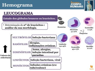 Hemácias
Linfócito
14 a 45%
Monócito
3 a 10%
Eosinófilo
1 a 5%
Neutrófilo
45 a 75%
Basófilo
0 a 2%
• Determinação do nº de leucócitos e
análise da sua morfologia.
LEUCOGRAMALEUCOGRAMA
Estudo dos glóbulos brancos ou leucócitos.
Infeção bacterianaNEUTRÓFILOS
EOSINÓFILOS
BASÓFILOS
LINFÓCITOS
MONÓCITOS
Asma, alergias,
infeção intestinal por
parasitas
Alergias,
Inflamações crónicas
Infeção bacteriana, viral
Infeções crónicas (ex:
tuberculose)
Hemograma
Valores de
referência
Plaquetas
 