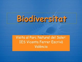 Biodiversitat Visita al Parc Natural del Saler: IES Vicenta Ferrer Escriv à València 