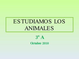 ESTUDIAMOS LOS ANIMALES 3º A Octubre 2010 