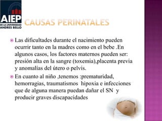  Las dificultades durante el nacimiento pueden
ocurrir tanto en la madres como en el bebe .En
algunos casos, los factores maternos pueden ser:
presión alta en la sangre (toxemia),placenta previa
y anomalías del útero o pelvis.
 En cuanto al niño ,tenemos :prematuridad,
hemorragias, traumatismos hipoxia e infecciones
que de alguna manera puedan dañar el SN y
producir graves discapacidades
 