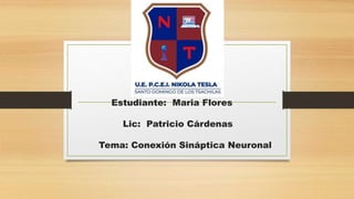 Estudiante: Maria Flores
Lic: Patricio Cárdenas
Tema: Conexión Sináptica Neuronal
 