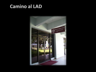 Camino al LAD
 
