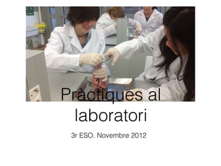 Pràctiques al
  laboratori
 3r ESO. Novembre 2012
 
