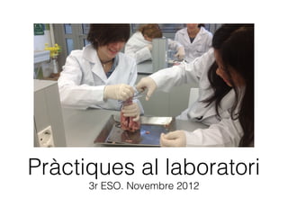 Pràctiques al laboratori
3r ESO. Novembre 2012
 