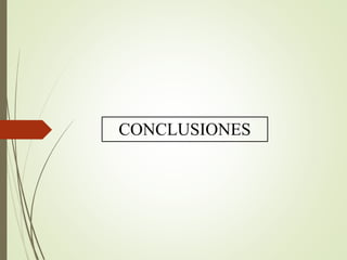 CONCLUSIONES
 