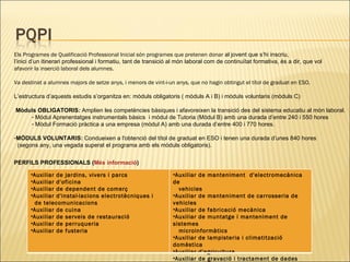 Els Programes de Qualificació Professional Inicial són programes que pretenen donar  al jovent que s’hi inscriu,  l’inici d’un itinerari  professional i formatiu, tant de  transició al món laboral com de continuïtat formativa, és a dir, que vol  afavorir la inserció laboral dels alumnes. Va destinat a alumnes majors de setze anys, i menors de vint-i-un anys, que no hagin obtingut el títol de graduat en ESO.  L’estructura d’aquests estudis s’organitza en: mòduls obligatoris ( mòduls A i B) i mòduls voluntaris (mòduls C) Mòduls OBLIGATORIS :   Amplien les competències bàsiques i afavoreixen la transició des del sistema educatiu al món laboral. Mòdul Aprenentatges instrumentals bàsics  i mòdul de Tutoria (Mòdul B) amb una durada  d’entre 240 i 550 hores Mòdul Formació pràctica a una empresa (mòdul A)  amb una durada d’entre 400 i 770 hores.   MÒDULS VOLUNTARIS:  Condueixen a l'obtenció del títol de graduat en ESO i tenen una durada d’unes 840 hores  (segons any, una vegada superat el programa amb els mòduls obligatoris). PERFILS PROFESSIONALS ( Més   informació ) Auxiliar de jardins, vivers i parcs  Auxiliar d'oficina  Auxiliar de dependent de comerç  Auxiliar d'instal·lacions electrotècniques i de telecomunicacions  Auxiliar de cuina  Auxiliar de serveis de restauració  Auxiliar de perruqueria  Auxiliar de fusteria  Auxiliar de manteniment  d'electromecànica de  vehicles  Auxiliar de manteniment de carrosseria de vehicles  Auxiliar de fabricació mecànica  Auxiliar de muntatge i manteniment de sistemes  microinformàtics  Auxiliar de lampisteria i climatització domèstica Auxiliar d'agricultura Auxiliar de gravació i tractament de dades auxiliat d'estètica 