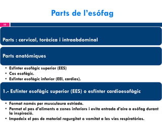 Parts de l’esófag
10

Parts : cervical, toràcica i intraabdominal
Parts anatómiques
• Esfínter esofàgic superior (EES)
• Cos esofàgic.
• Esfínter esofàgic inferior (EEI, cardias).

1.- Esfínter esofàgic superior (EES) o esfínter cardioesofàgic
• Format només per musculaura estriada.
• Permet el pas d’aliments a zones inferiors i evita entrada d’aire a esófag durant
la inspiració.
• Impedeix el pas de material regurgitat o vomitat a les vies respiratòries.

 