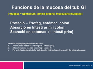 Funcions de la mucosa del tub GI
(*Mucosa = Epithelium, lamina propria, muscularis mucosae)

Proteció – Esòfag, estómac, colon
Absorció en Intestí prim i còlon
Secreció en estómac ( i intestí prim)

Secreció mitjançant glàdules localitzades:
a.
A la mucosa (estómac, intetsí prim i intestí gros)
b.
A la submucosa (només en esòfag i en duodé)
c.
For a de l’estructura tubular dels budells (glàndules extramurals) del fetge, pàncrees.

Institut Castellarnau. CFGS DIETÊTICA

 