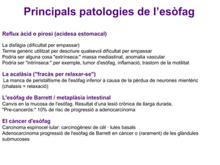 Principals patologies de l’esòfag
Reflux àcid o pirosi (acidesa estomacal)
La disfàgia (dificultat per empassar)
Terme genèric utilitzat per descriure qualsevol dificultat per empassar
Podria ser alguna cosa "extrínseca:" massa mediastinal, anomalia vascular
Podria ser "intrínseca:" per exemple, tumor d'esòfag, inflamació, trastorn de la motilitat

La acalàsia ("fracàs per relaxar-se")
La manca de peristaltisme de l'esòfag inferior a causa de la pèrdua de neurones mientèric
(chalasis = relaxació)

L'esòfag de Barrett / metaplàsia intestinal
Canvis en la mucosa de l'esòfag. Resultat d’una lesió crònica de llarga durada.
"Pre-cancerós:" 10% de risc de progressió a adenocarcinoma

El càncer d'esòfag
Carcinoma espinocel·lular: carcinogènesi de cèl · lules basals
Adenocarcinoma progressió de l'esòfag de Barrett en càncer o (rarament) de les glàndules
submucoses

 